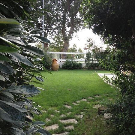 Villa Gioia Rooms Montegranaro Bagian luar foto