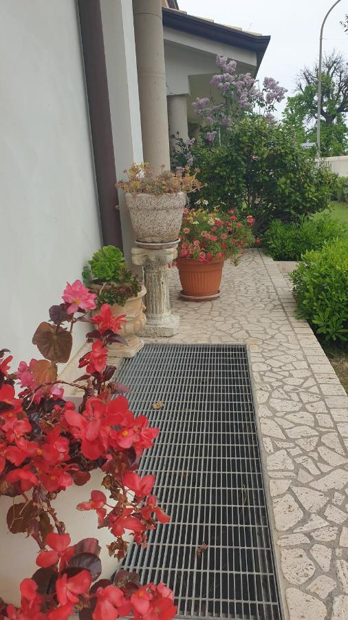 Villa Gioia Rooms Montegranaro Bagian luar foto
