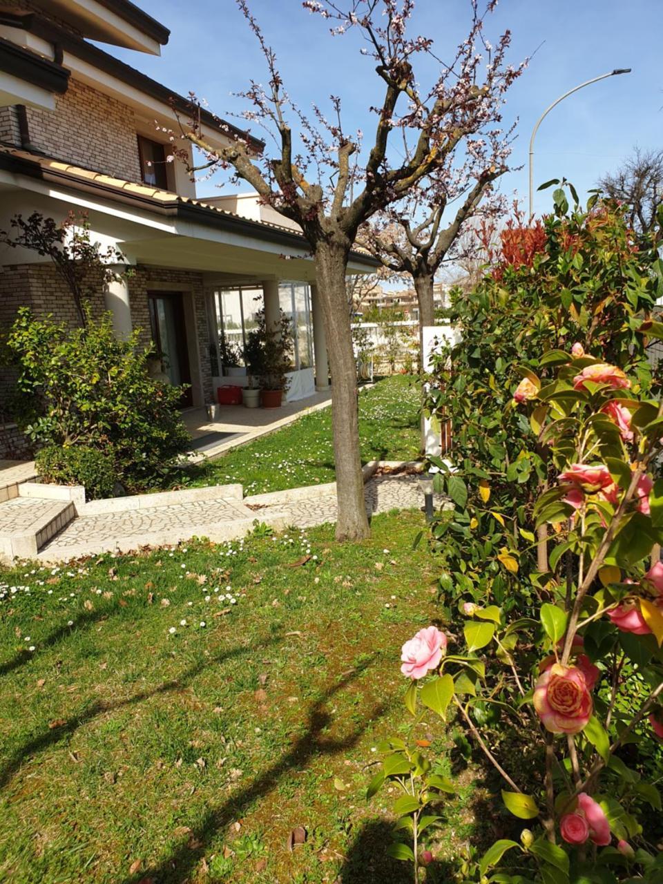 Villa Gioia Rooms Montegranaro Bagian luar foto